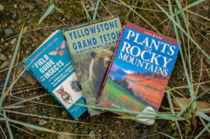 Three field guides: insect guide, plant guide, and Yellowstone and Grand Teton National Park Guidebook.