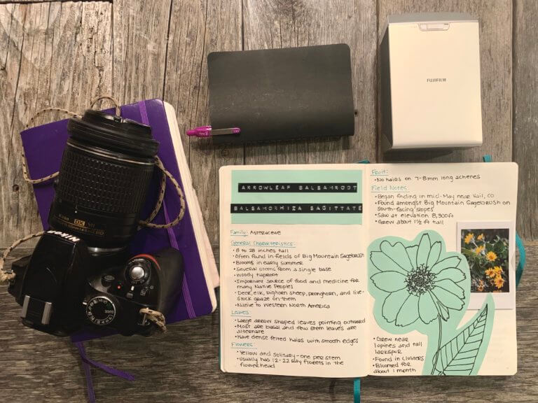 Camera, Journals, Small Notebook, and Polaroid Printer on a wood Table