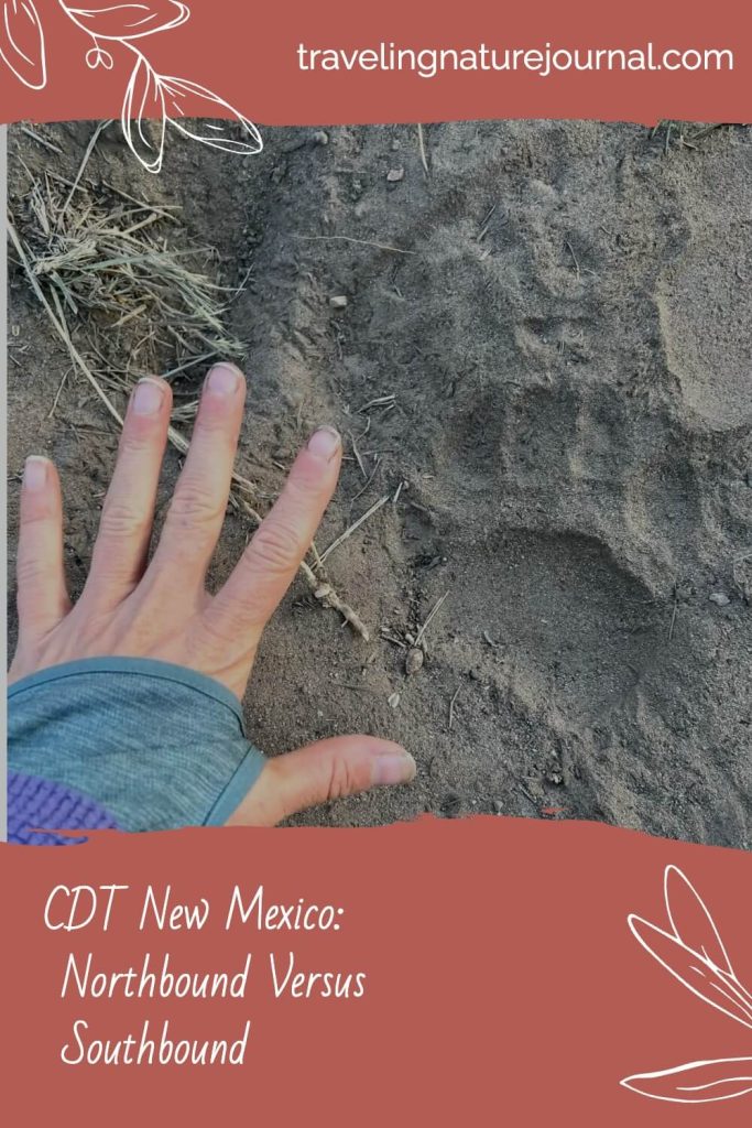 CDT New Mexico blog post with a photo of a woman's hand next to a black bear print.