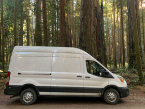 Ford Transit near Coastal Redwoods.