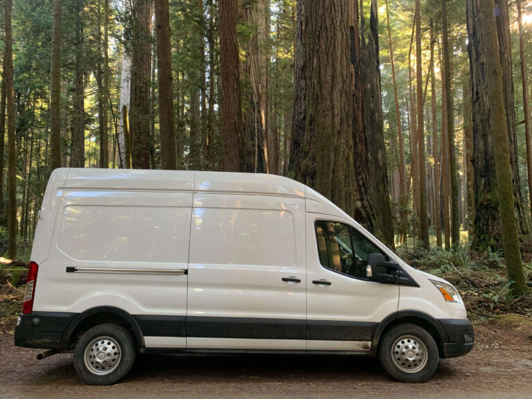 Ford Transit near Coastal Redwoods.