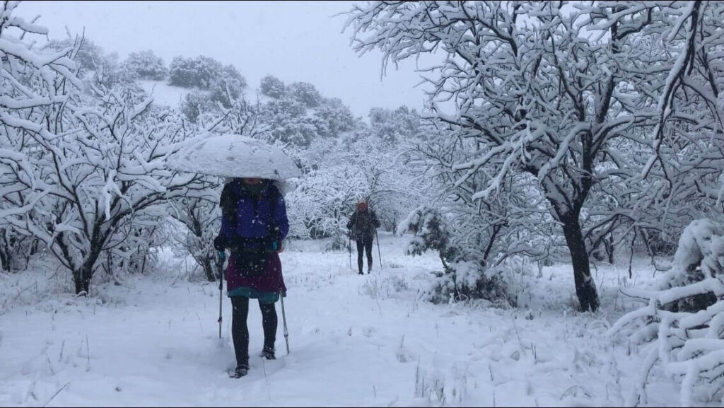 Hikers in the snow in Arizona.