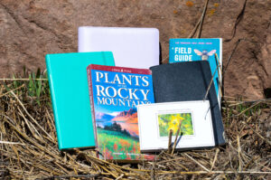Notebooks and field guides arranged outside.