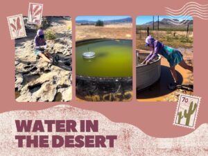 Graphic about 3 sources for water in the desert with a lady backpacker.