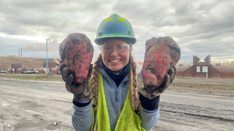 Woman working the sugar beet harvest with two red sugar beets the size of her head.
