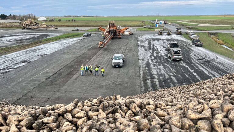 View from the top of a 28 foot high sugar beet pile.