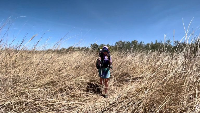 Woman hiking through tall grasses on a route that has a lot of off-trail navigation.