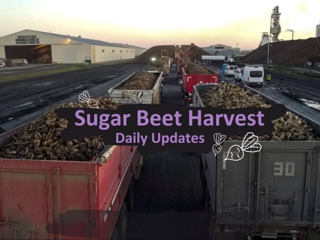 Daily updates from a nomad who worked the Sugar Beet Harvest.