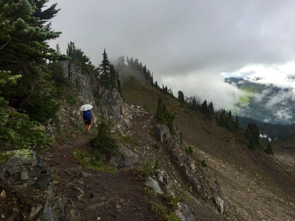 Thru-hiker hiking in Olympic National Park on the Pacific Northwest Trail.