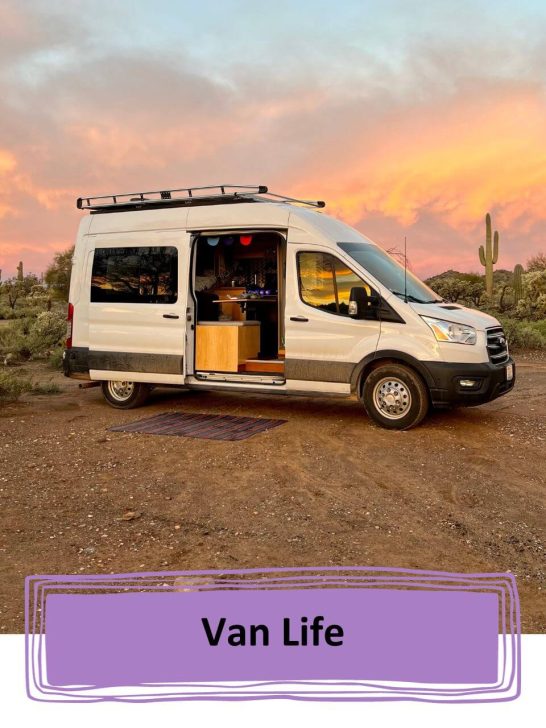 Living van life in the desert with a saguaro cactus in the background.