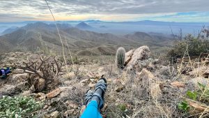DWTH Day 8: Saguaro National Park West & Wasson Peak