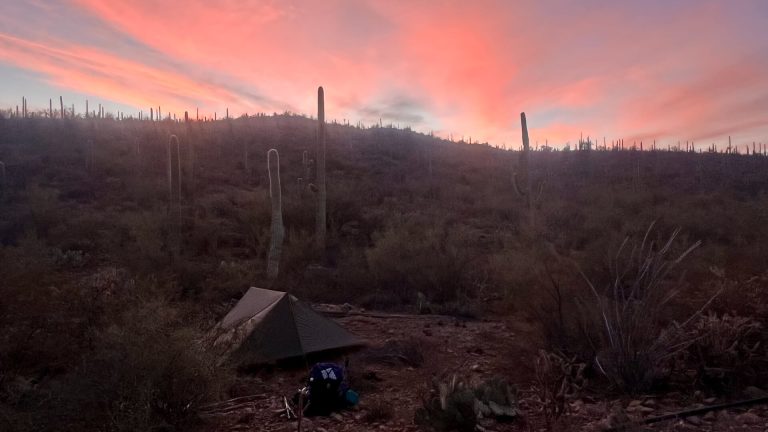 DWTH Day 9: Petroglyphs, Some Cross-Country, & First Blood