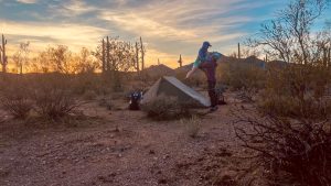 DWTH Day 10: First Cache and Cactus Foot
