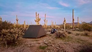 DWTH Day 11: 100% Following a Migrant Corridor