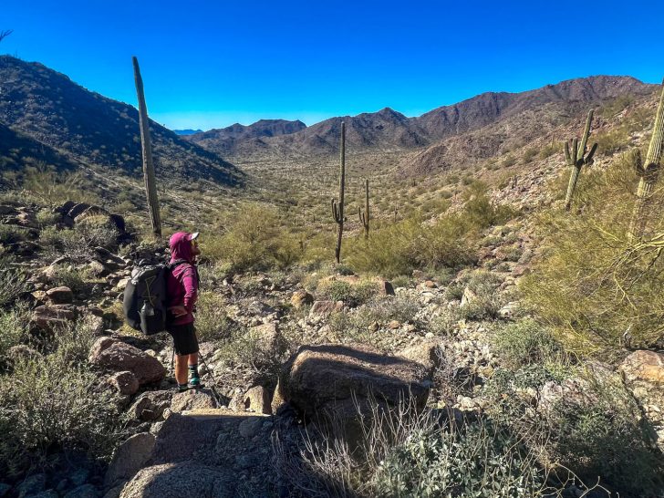 DWTH Day 18: Mountain Lion Tracks, Rocky Terrain, & A Water Gap