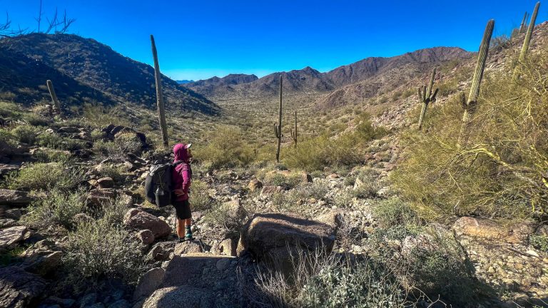 DWTH Day 18: Mountain Lion Tracks, Rocky Terrain, & A Water Gap