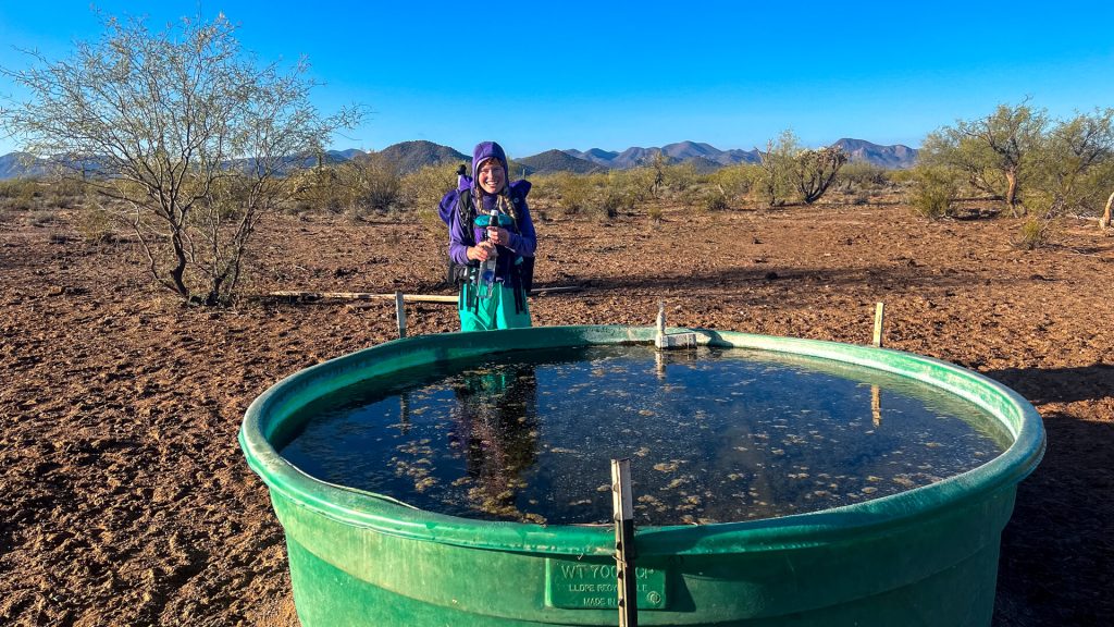 Woman backpacker getting water from a cow trough.