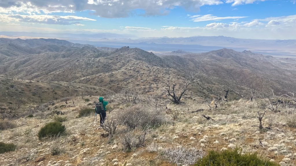 Off-trail hiking in Mojave National Preserve.