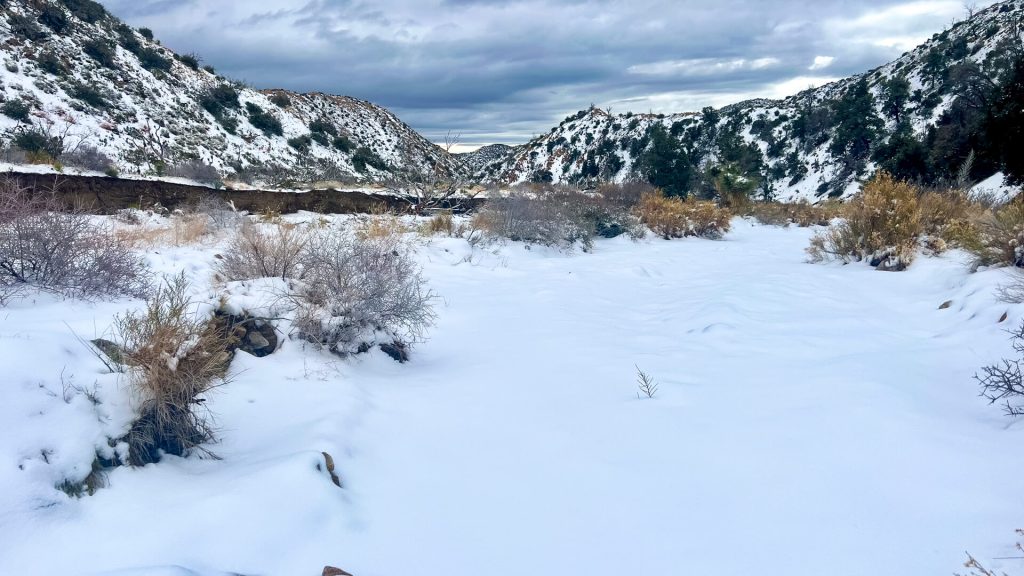 A snowy valley at 6,200 ft in March.