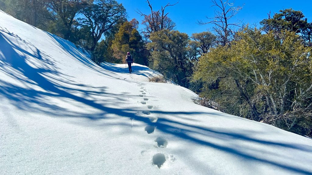 Backpacker post holing through some snow.