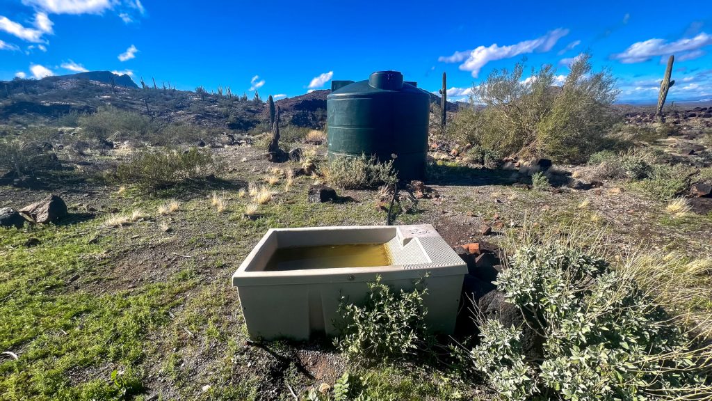 A Game Water Source.