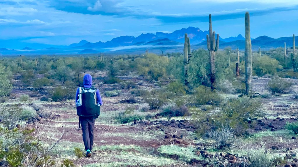 Thru-Hiker walking an old mining road toward a mountain in the desert.