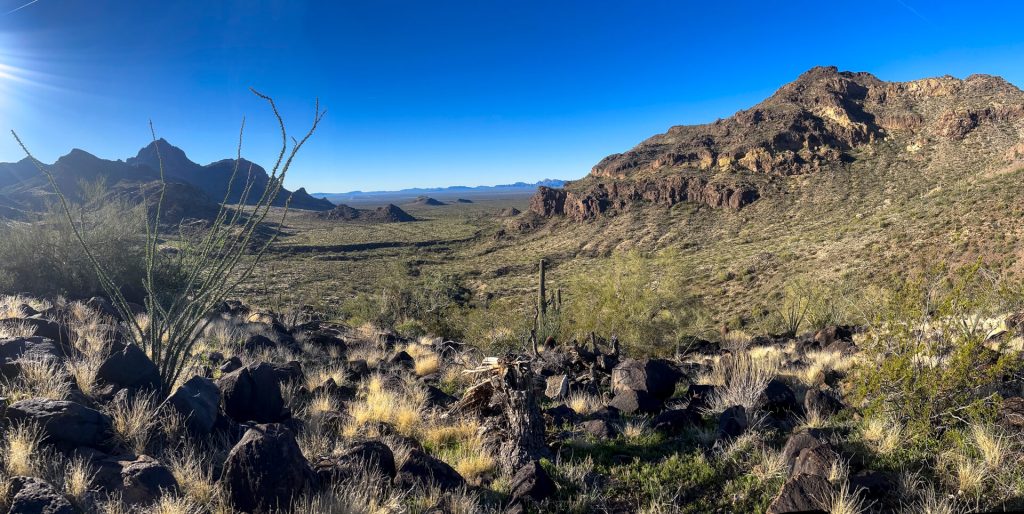 Panorama of the Sonoran Desert in Arizona.