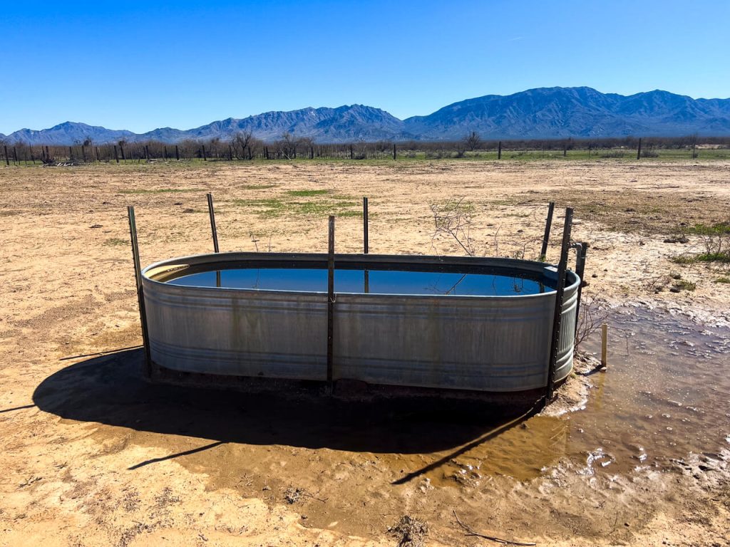 A cow trough of water in the desert.