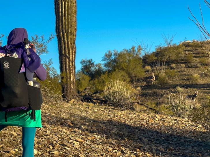 DWTH Day 30: Wild Burros Make Good Trails&nbsp;