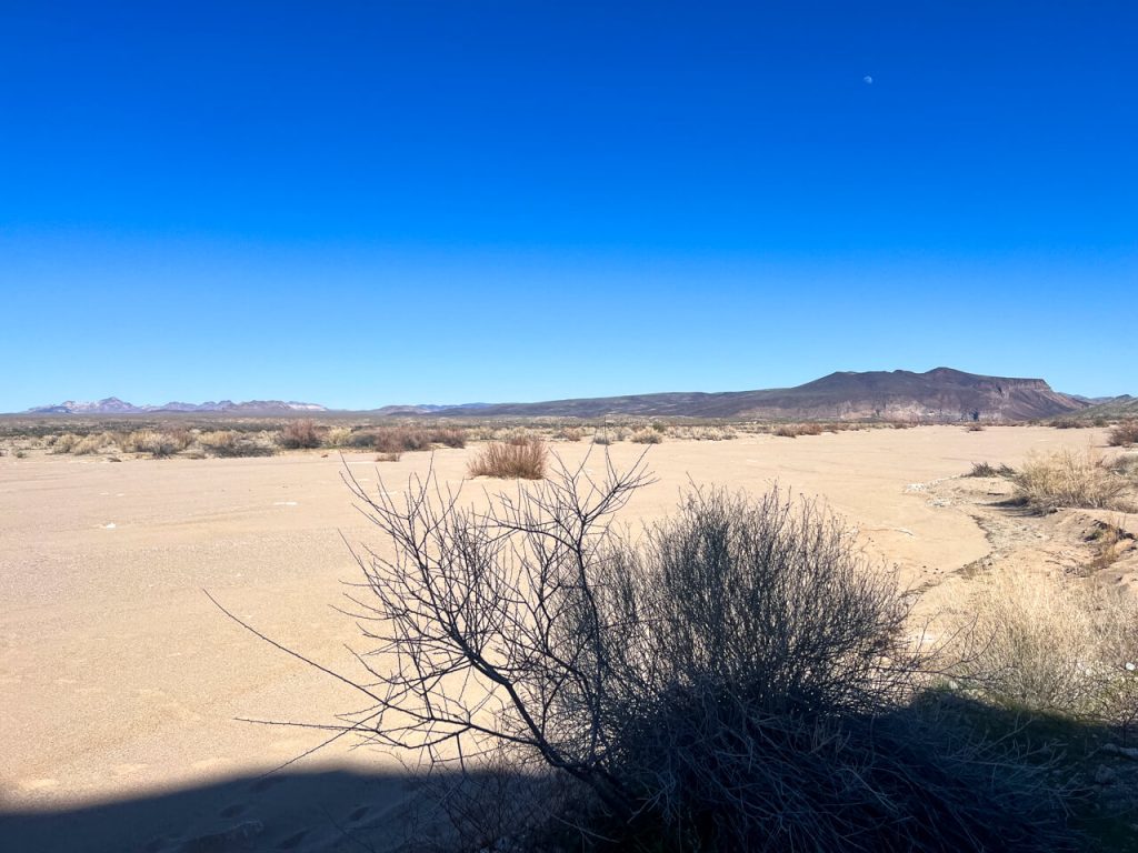 A wide-open, dry desert wash expanse with few plants.