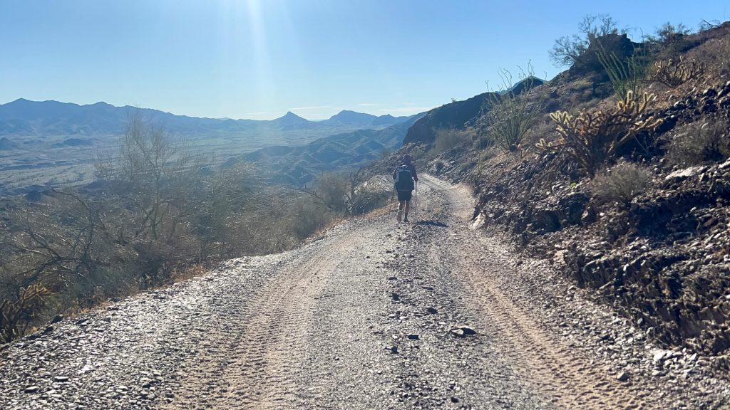 Thru-hiker walking a dirt road on the desert winter thru-hike.