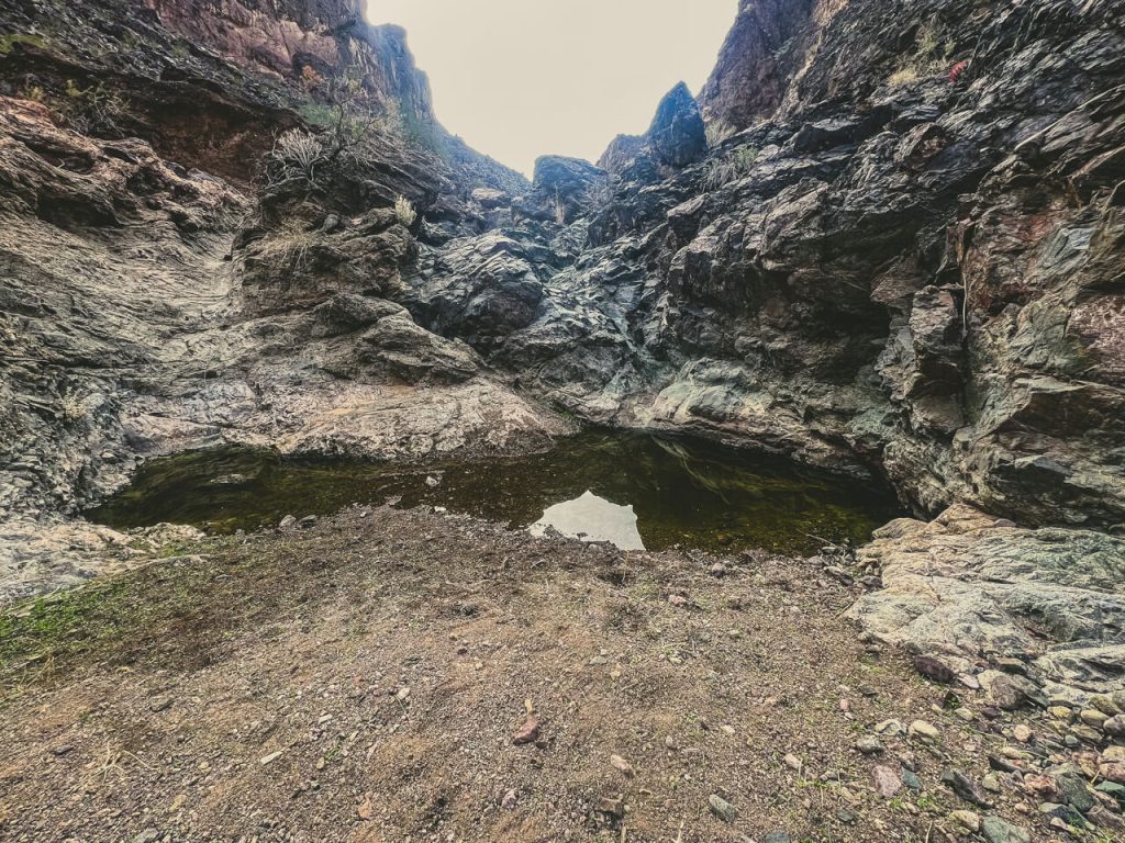 A large Tinaja of water in the desert hidden in a canyon.