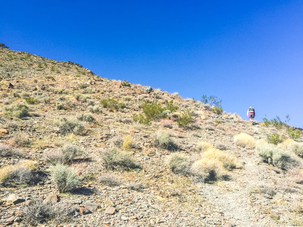 Two thru-hikers steeply climbing a ridge.