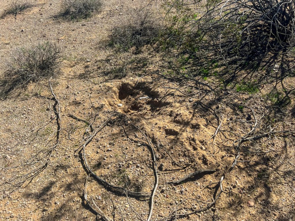 Our buried food and water cache where an animal started to dig.