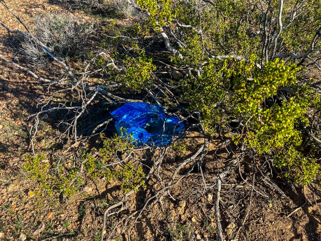 A discarded helium balloon decaying in the desert.