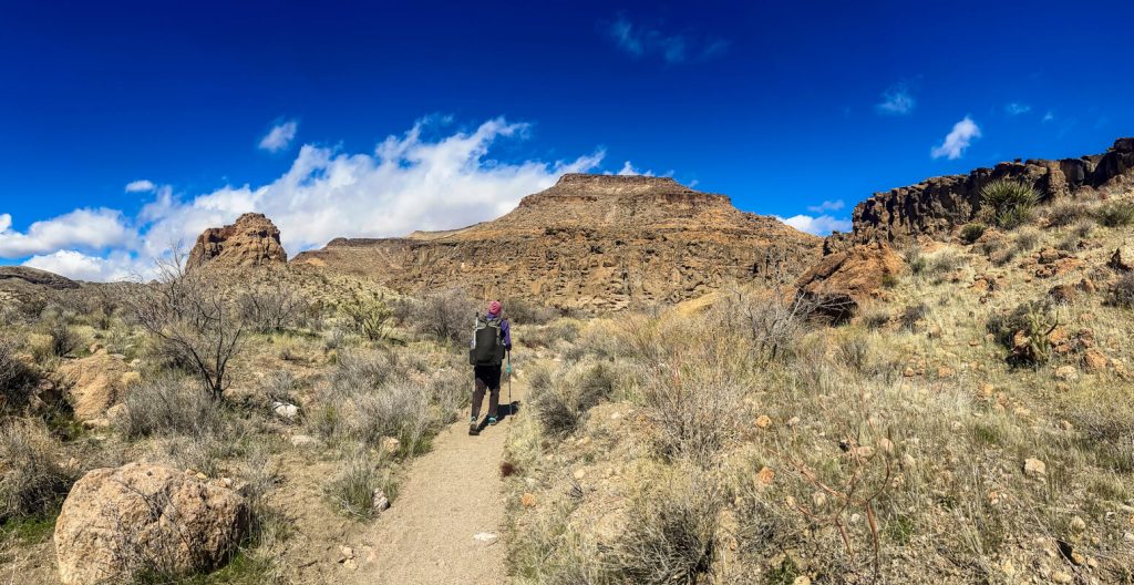 A hiker walking on a desert trail in the Mojave Preserve.
