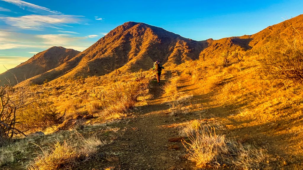 Morning sunrise glow in the Mojave Desert.