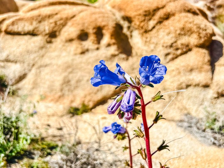 DWTH Day 48: Are We Going Down, Yet?