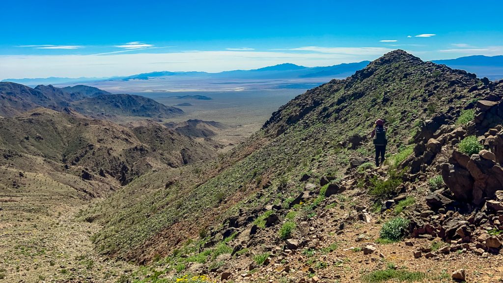 Thru-hikers follow a Bighorn Sheep path down out of the mountains into a canyon.