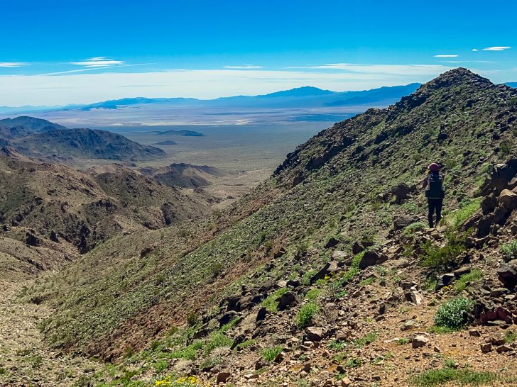 DWTH Day 49: Washes, A Bighorn Sheep Path, & A Cache