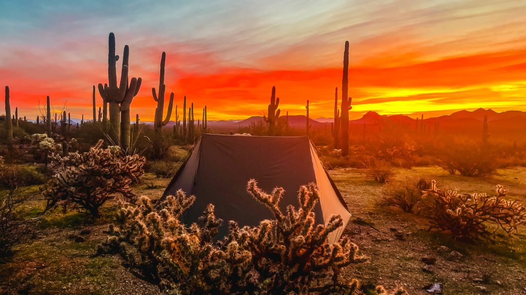 A tent surrounded by cacti and an Arizona Sunset.