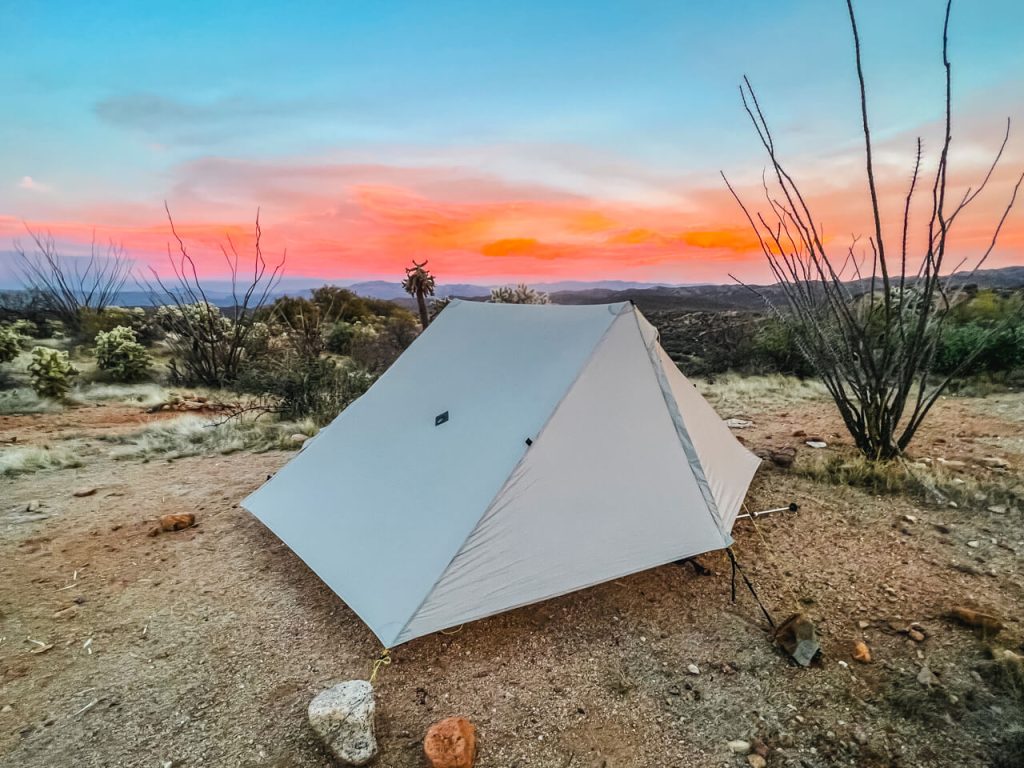 A tent pitched for an Arizona sunset with an ocotillo in the background.