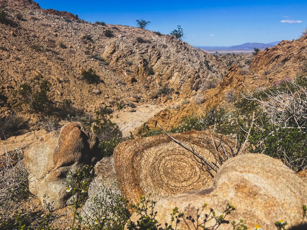 Rock patterns appeared in this desert canyon.