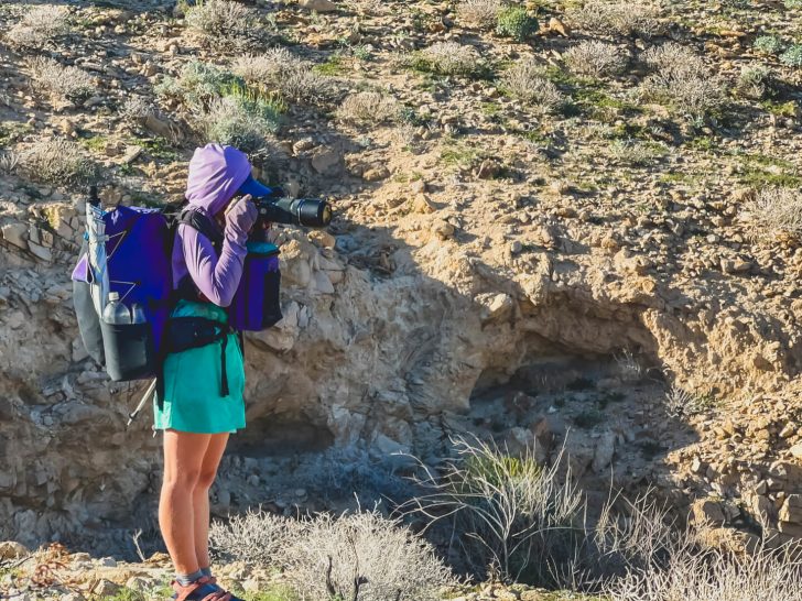 DWTH Day 51: A Choose-Your-Own-Adventure Day