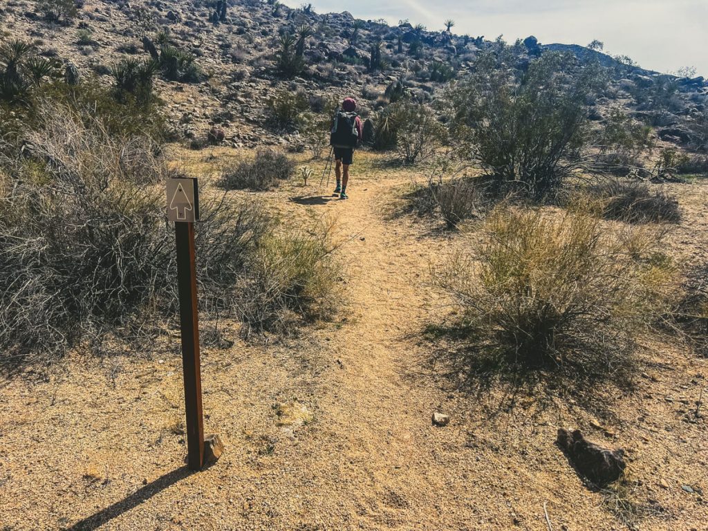 Karma on a little bit of single track trail in JTNP.