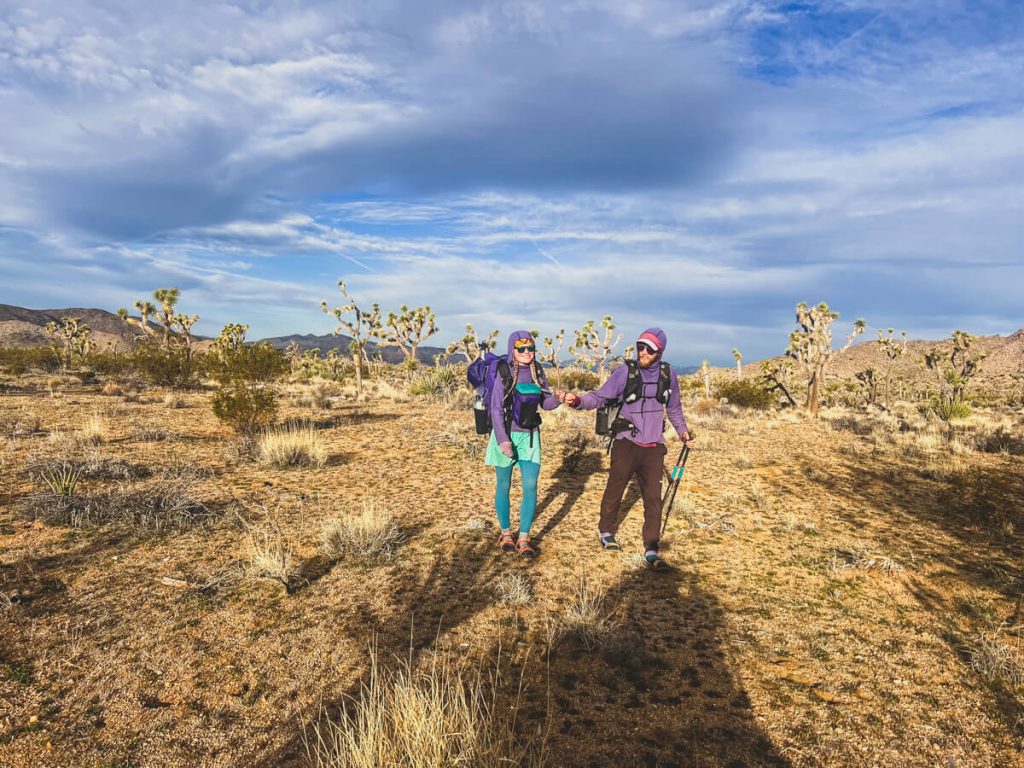 We hiked from Saguaro National Park to Joshua Tree National Park!