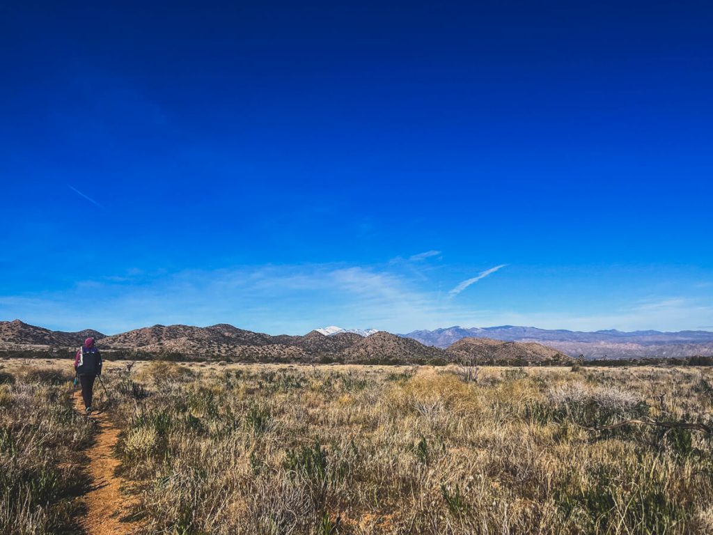 High desert plateau walking in JTNP.