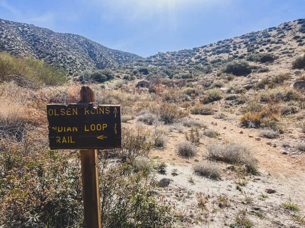 Trail sign in a desert canyon.