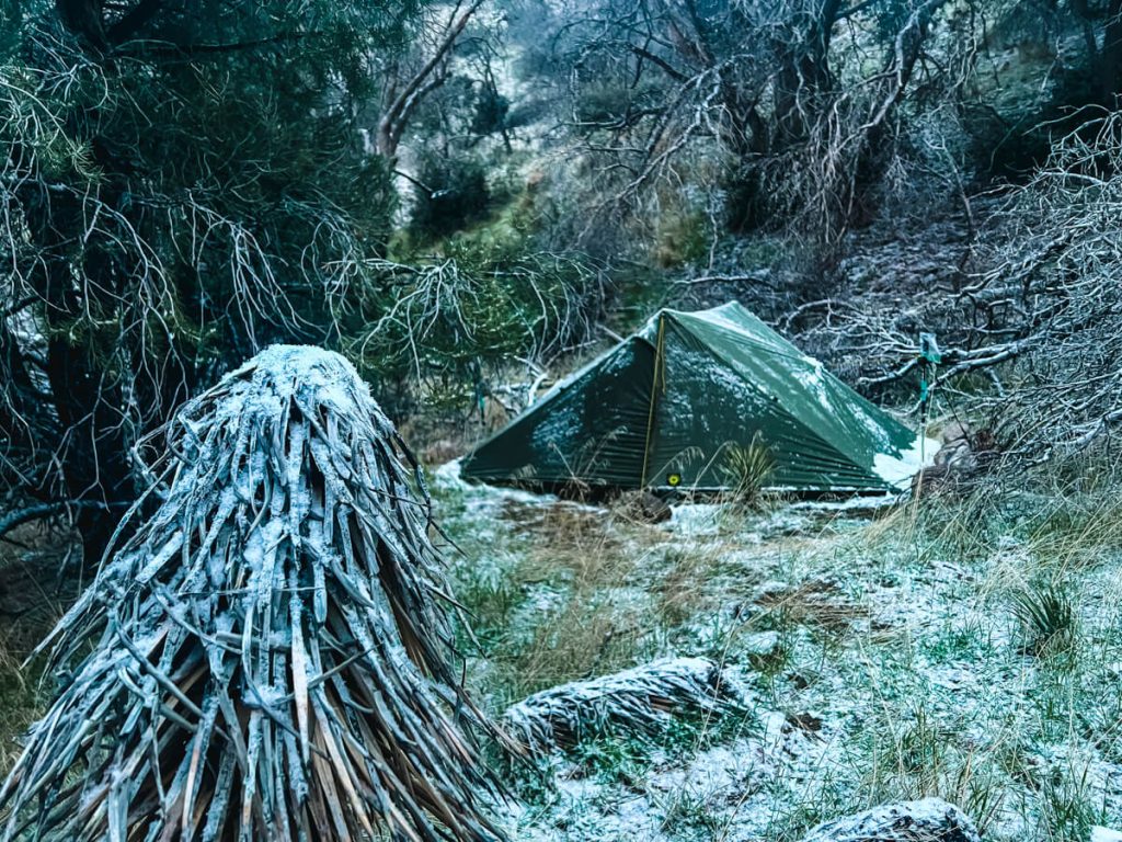 Tent in a light dusting of snow with a Joshua Tree in the foreground.