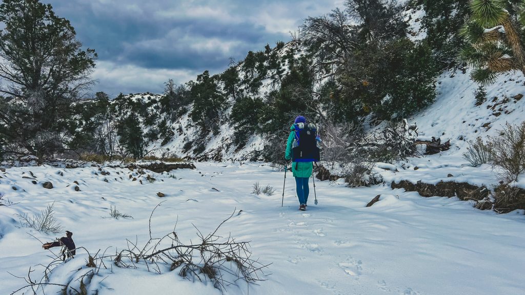 Walking back down the wash in the snow.